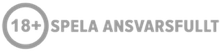 18+ Logo